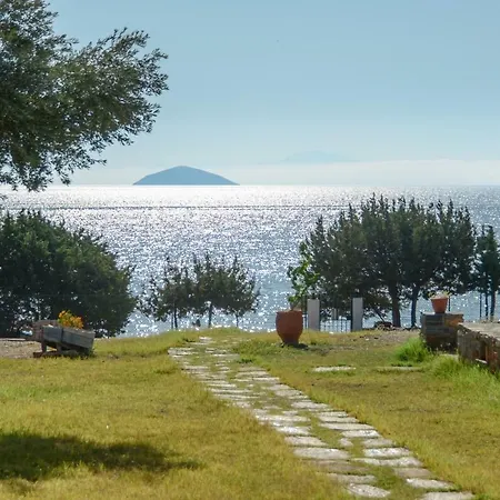 Theonis * Μουτσούνα