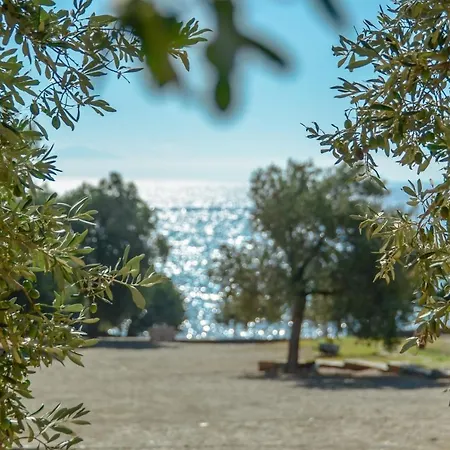 Theonis Μουτσούνα