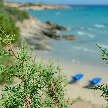 Theonis Apartamento *