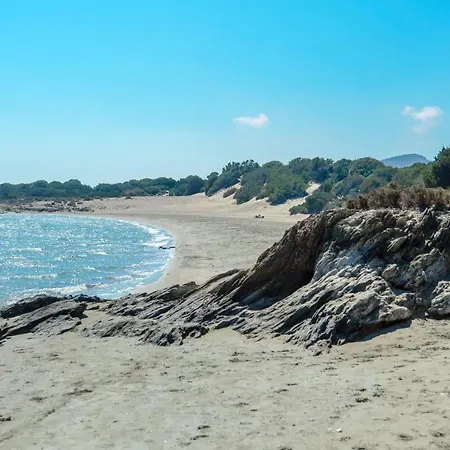 Theonis Μουτσούνα