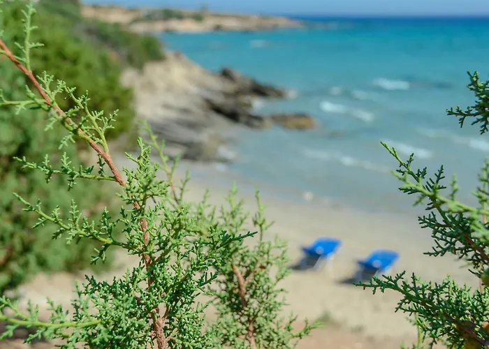 Theonis アパート *